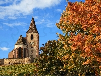 Kościół św. Jakuba Majora, Drzewa, Francja, Miejscowość Hunawihr, Church Saint Jacques le Majeur
