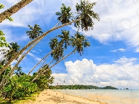 Palmy, Prowincja Trat, Chmury, Wyspa Ko Mak, Morze, Plaża, Tajlandia