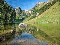 Drzewa, Góry Alpy, Szwajcaria, Jezioro Seealpsee, Kamienie, Kanton Appenzell Innerrhoden