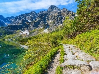 Jezioro Morskie Oko, Góry Tatry, Ścieżka, Polska, Mięguszowickie Szczyty, Drzewa