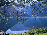 Drzewo, Region Trondelag, Odbicie, Norwegia, Jezioro Eidsvatnet, Góry