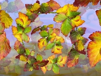 Jesień, Żółto-zielone, Liście, Grafika