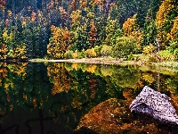 Schwarzwald, Skały, Lustrzane, Jezioro, Odbicie, Niemcy, Lasy, Kamienie Jesień