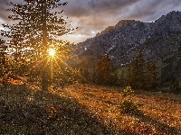 Góry Hochkonig, Austria, Promienie słońca, Drzewa, Salzburg