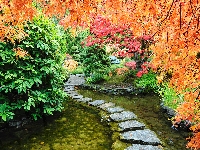 Park, Różanecznik, Ścieżka, Krzewy, Ogród, Drzewa, Azalie