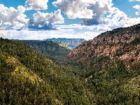 Park Stanowy Slide Rock, Kanion Oak Creek Canyon, Skały, Lasy, Stany Zjednoczone, Góry, Wąwóz, Kanion, Stan Arizona