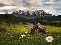 Góry Alpy, Niemcy, Kwiatki, Lasy, Łąka, Domki, Jezioro Geroldsee, Bawaria