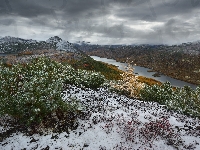 Śnieg, Kołyma, Krzewy, Jezioro Tantsuyushchikh Khariusov, Drzewo, Rosja, Góry Kołymskie, Jezioro Anemone, Magadan, Rośliny