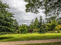 Krzewy, Park, Anglia, Ogród Garden Harlow Carr, Drzewa, Miejscowość Harrogate