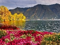 Jezioro, Kwiaty, Jesień, Góry, Kolorowe