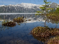 Jezioro Jack London, Kołyma, Rosja, Drzewo, Góry Kołymskie, Roślinność, Obwód magadański