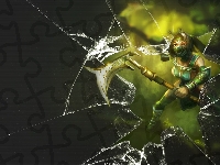 Classic, Legends, Ekran, Of, Akali, League, Pęknięty