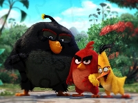 The Angry Birds Movie, Angry Birds, Film