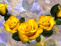 Róże, Kolorowe tło, Kwiaty, Żółte, Grafika