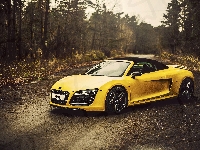 Las, Audi R8, Droga