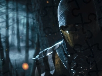 Mortal Kombat X, Scorpion