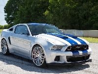 Ford Mustang GT, Film, Need for Speed, Shelby