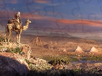 Wielbłąd, Assassins Creed: Origins, Egipt, Bayek
