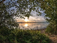 Drzewa, Jezioro, Wschód słońca, Trawa