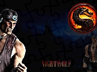 Mortal Kombat, Nightwolf