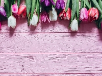 Tulipany, Deski, Kwiaty, Kolorowe, Różowe