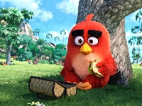 Komputerowe, Film, Angry Birds