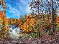 Park Narodowy Oulanka, Rzeka Kitkajoki, Finlandia, Jesień, Drzewa, Laponia