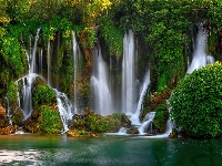 Skały, Bośnia i Hercegowina, Wodospady Kravica, Rzeka, Roślinność