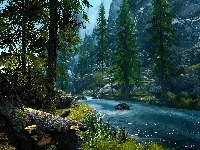Rzeczka, The Elder Scrolls V Skyrim, Skały, Kamienie, Drzewa Gra