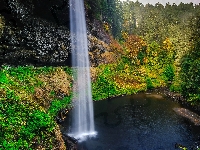 Drzewa, Las, Roślinność, Park stanowy Silver Falls, Stany Zjednoczone, Jezioro, Wodospad South Falls, Skały, Stan Oregon