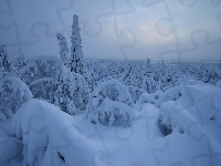 Rezerwat Valtavaara, Ośnieżone, Finlandia, Zima, Drzewa, Laponia