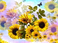 Słoneczniki, Grafika, Żółte, Kwiaty, Motylek