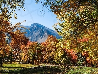 Jesień, Góry Karakorum, Pakistan, Drzewa, Park, Gilgit-Baltistan