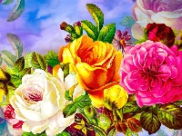 Kolorowe, Grafika, Kwiaty, Trzy, Róże