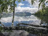 Brzozy, Drzewa, Odbicie, Park Narodowy Glacier, Stany Zjednoczone, Chmury, Jezioro Lake McDonald, Góry, Stan Montana