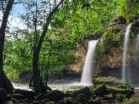 Kamienie, Park Narodowy Khau Yai, Tajlandia, Wodospad Haew Suwat, Omszałe, Drzewa