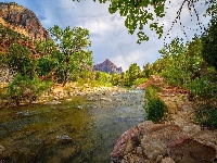 Góry Watchman, Drzewa, Stany Zjednoczone, Kamienie, Park Narodowy Zion, Rzeka Virgin River, Stan Utah