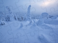 Ośnieżone, Finlandia, Słońce, Zima, Laponia, Drzewa