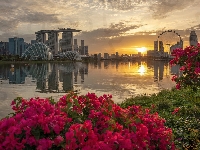 Hotel Marina Bay Sands, Zachód słońca, Rzeka, Wieżowce, Most, Zatoka Marina Bay, Singapur, Kwiaty