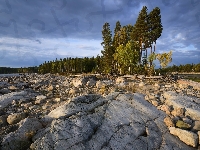 Drzewa, Skały, Rosja, Jezioro Siegoziero, Kamienie, Karelia