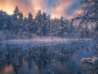Gmina Ringerike, Drzewa, Jezioro, Śnieg, Zachód słońca, Norwegia, Zima, Las