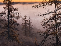 Góry, Drzewa, Mgła, Wzgórze