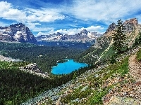 Kolumbia Brytyjska, Góry Canadian Rockies, Chmury, Jezioro O Hara, Kanada, Park Narodowy Yoho, Las