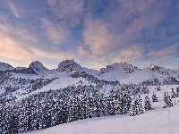 Góry, Drzewa, Szwajcaria, Las, Zima, Alpy Berneńskie, Chmury