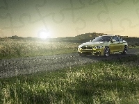 Droga, Bmw, M4, Trawa