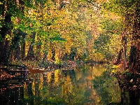 Łódka, Drzewa, Jesień, Staw