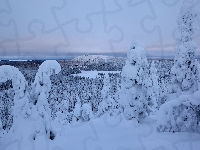 Finlandia, Góry, Drzewa, Laponia, Valtavaara, Zima, Rezerwat, Śnieg