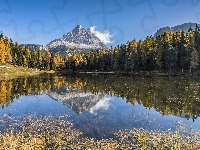 Góry, Włochy, Drzewa, Dolomity, Lasy, Masyw Tre Cime di Lavaredo, Jezioro Antorno Lake, Prowincja Belluno