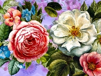 Kwiaty, Białe, Różowe, Grafika