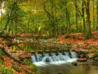 Las, Rzeka Shimne River, Irlandia Północna, Drzewa, Jesień, Park Tollymore Forest Park, Hrabstwo Down